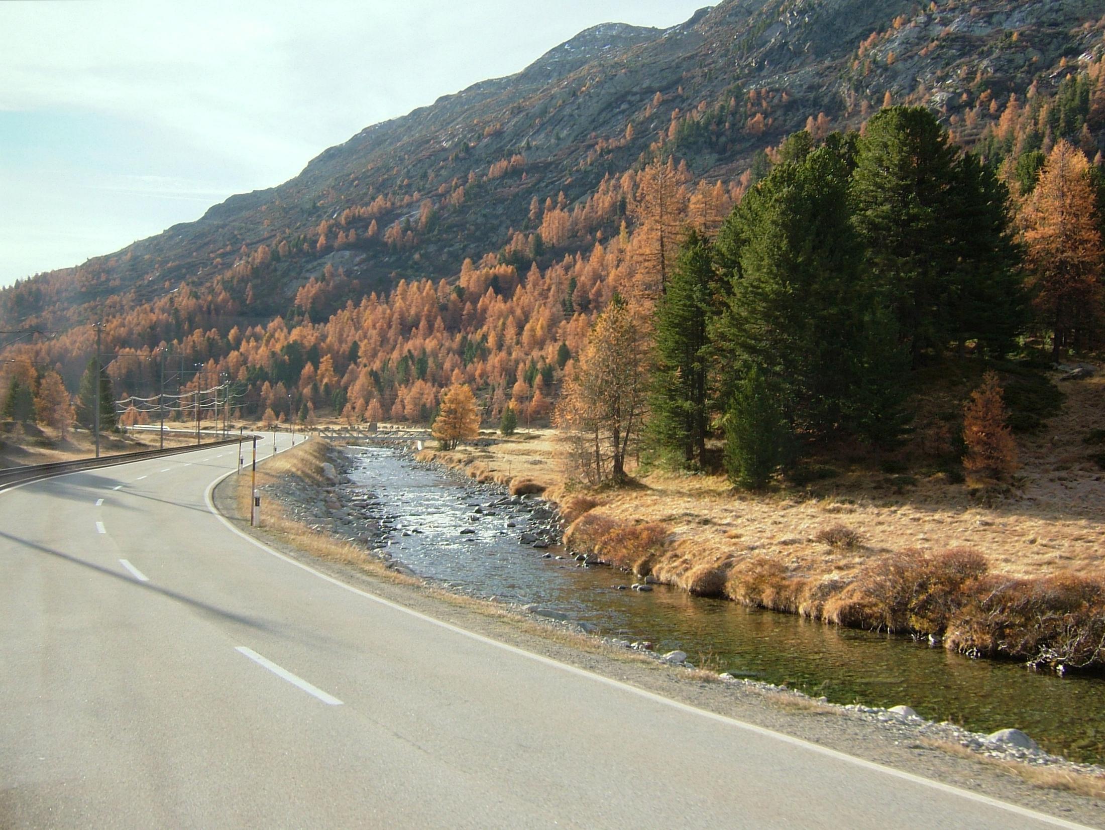 La strada del Bernina in autunno tra i larici dorati e il torrente